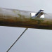 Cable de remplacement pour tyrolienne et téléphérique