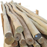 Rondins de robinier poncés