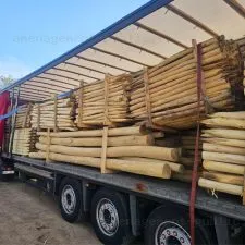 Rondin écorcé et poncé en bois de robinier